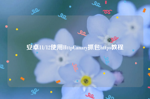 安卓11/12使用HttpCanary抓包https教程