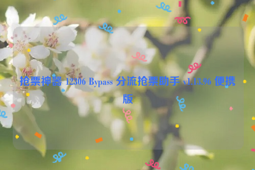 抢票神器 12306 Bypass 分流抢票助手 v1.13.96 便携版